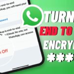 how to enable end-to-end encryption in whatsapp