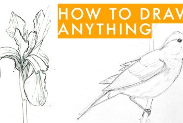 Absolute Beginner: How to Draw