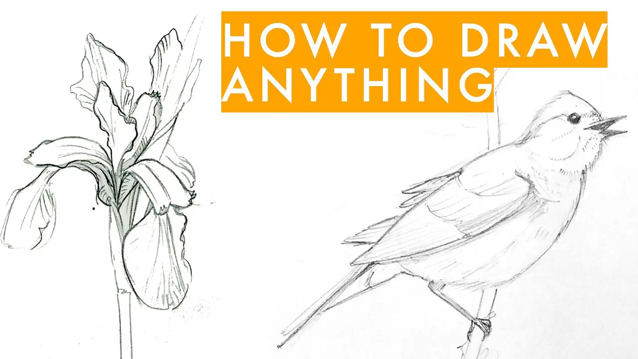 Absolute Beginner: How to Draw